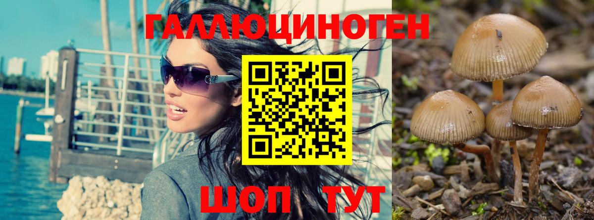 Псилоцибиновые грибы мицелий Алексин