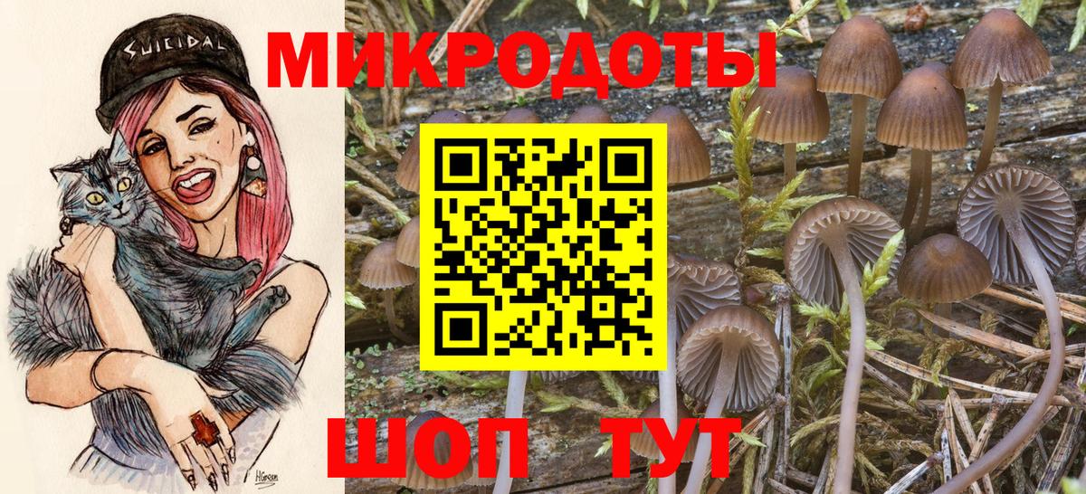 Алексин  Псилоцибиновые грибы MAGIC MUSHROOMS  Вход с VPN 